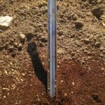 コーヒーかすマルチ