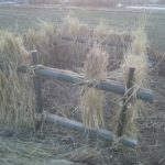 踏み込み温床づくり