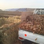 踏み込み温床の仕込み