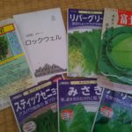 春野菜の種まき