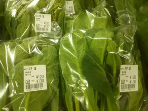 三河島菜の菜の花