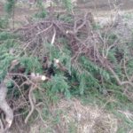 剪定枝で堆肥づくり