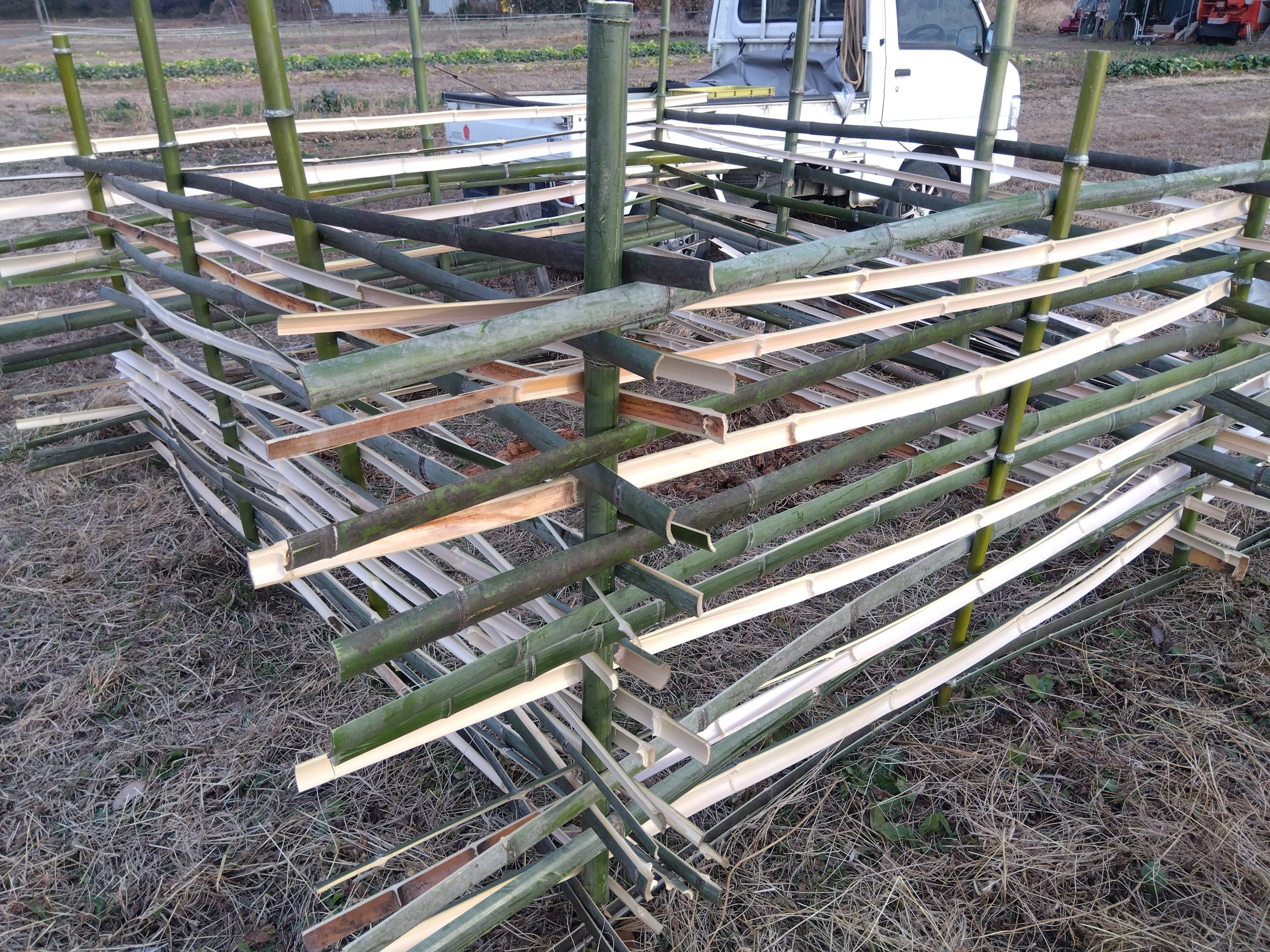 自伐型林業　竹の活用