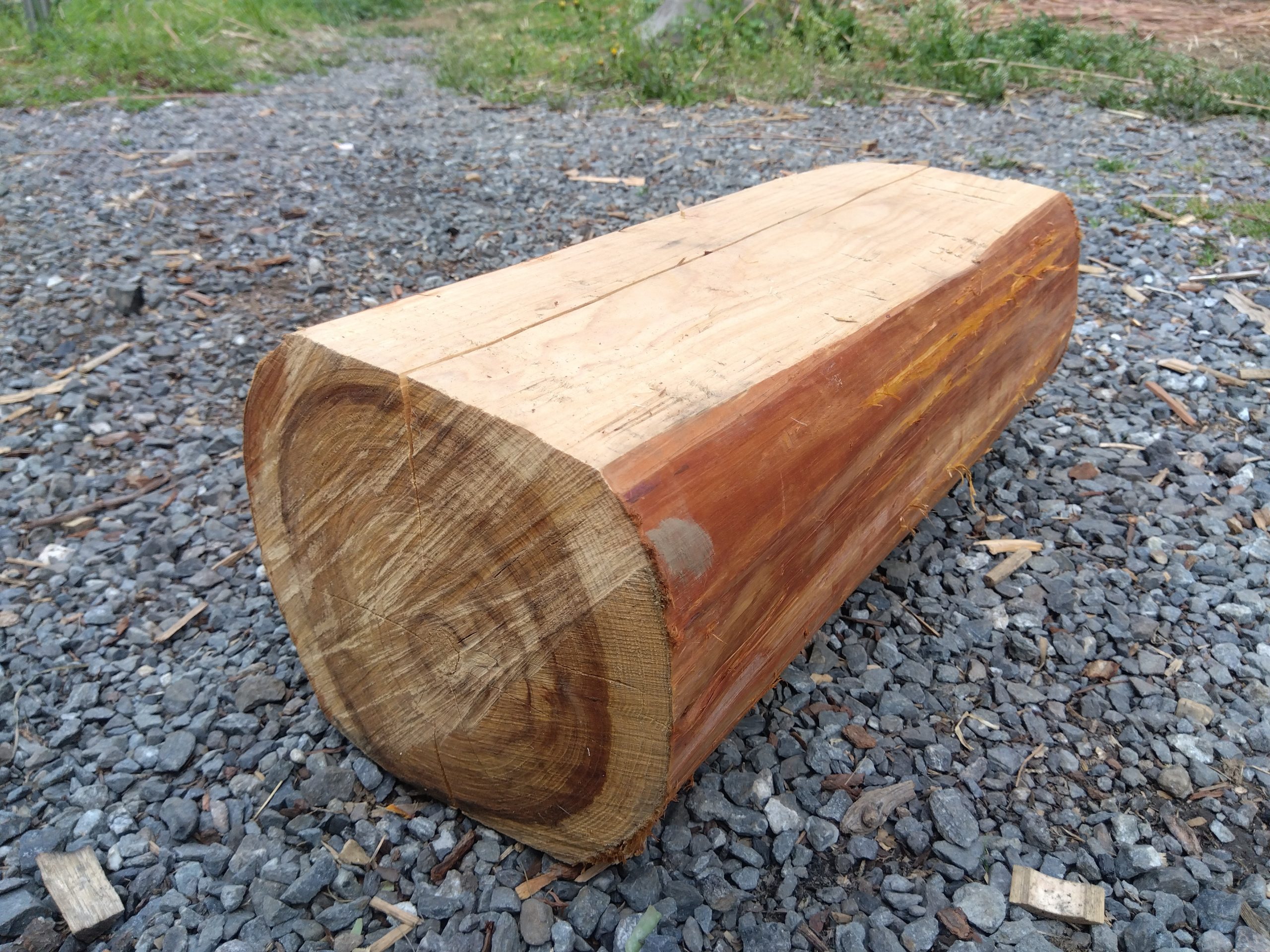 自伐型林業　椅子