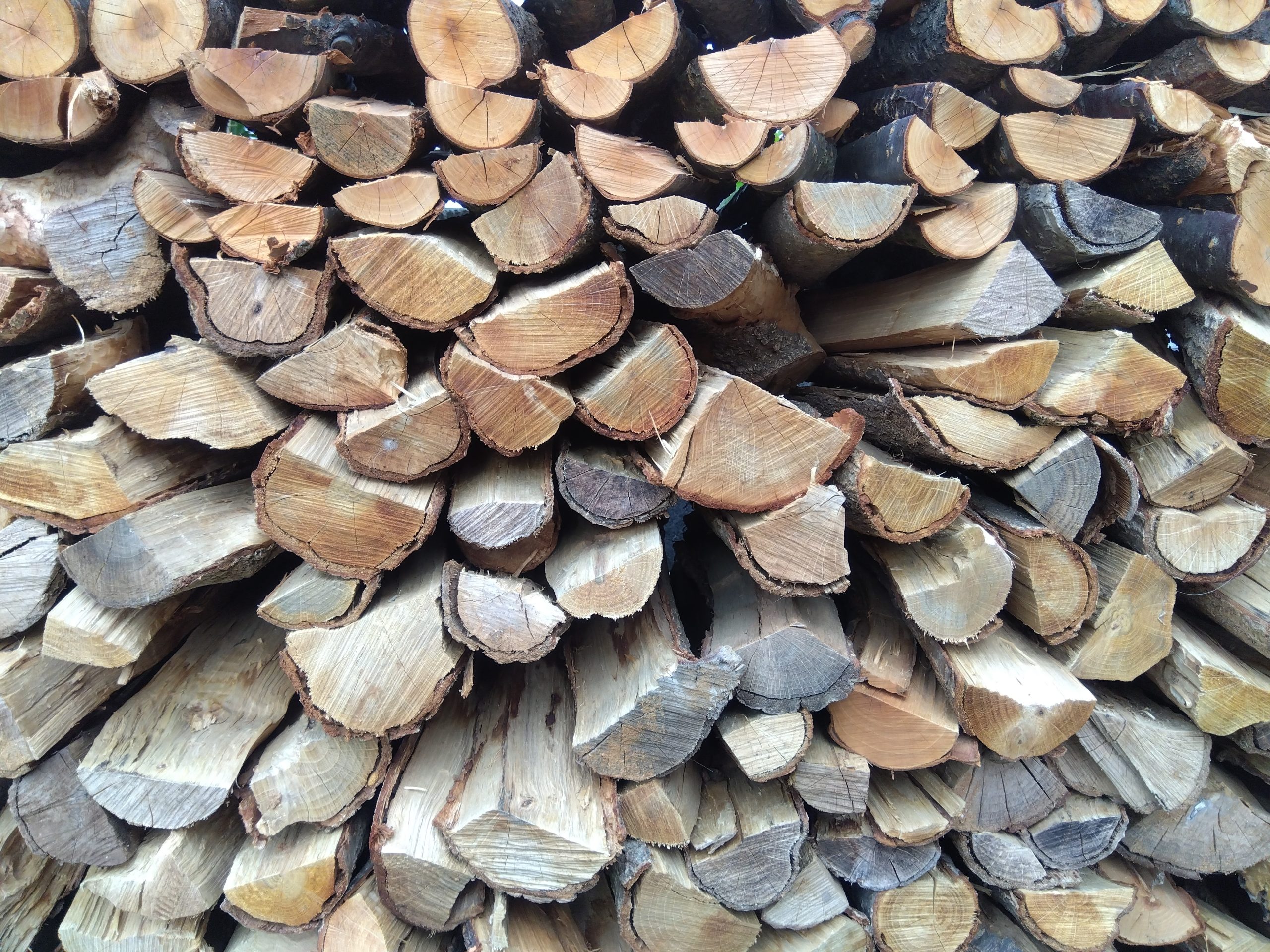 自伐型林業の薪