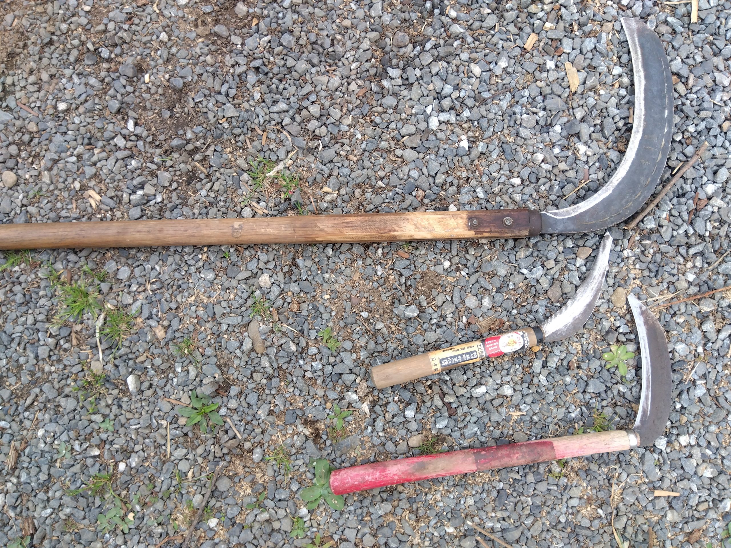 自伐型林業　鎌