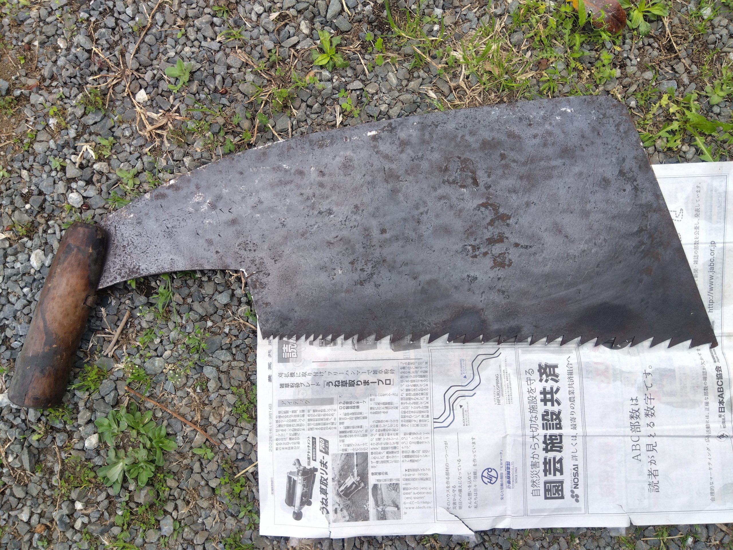 自伐型林業　大鋸